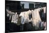 Laundry on Line in Slum Area in New York City-Vernon Merritt III-Mounted Premium Photographic Print