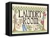 Laundry Room-Debbie McMaster-Framed Stretched Canvas