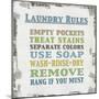 Laundry Rules-Lauren Gibbons-Mounted Art Print