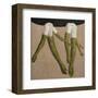 Laundry-Kara Smith-Framed Art Print