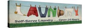 Laundry-N. Harbick-Stretched Canvas