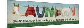 Laundry-N. Harbick-Mounted Art Print