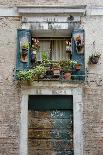 Italian Window Flowers I-Laura DeNardo-Photographic Print