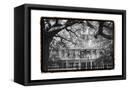 Canvas Black