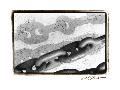 Laminate