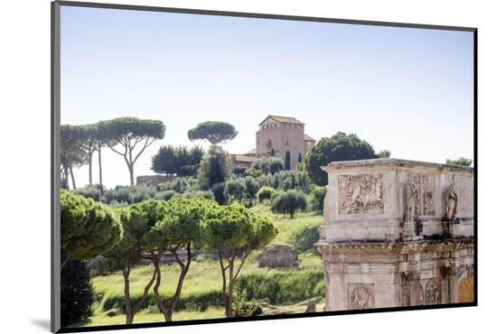Photographic Print, , large