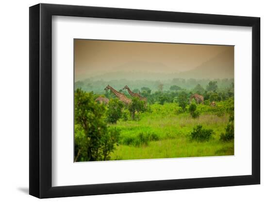 Premium Photographic Print, , large