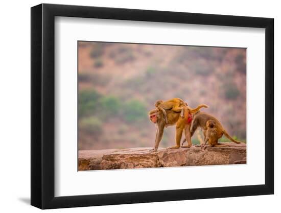 Premium Photographic Print, , large