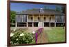 Laura' Historic Antebellum Creole Plantation House, Louisiana, USA-Cindy Miller Hopkins-Framed Photographic Print