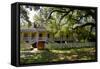 Laura' Historic Antebellum Creole Plantation House, Louisiana, USA-Cindy Miller Hopkins-Framed Stretched Canvas