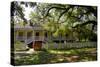 Laura' Historic Antebellum Creole Plantation House, Louisiana, USA-Cindy Miller Hopkins-Stretched Canvas