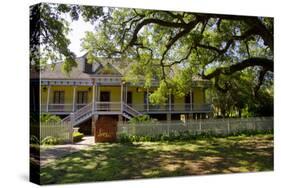 Laura' Historic Antebellum Creole Plantation House, Louisiana, USA-Cindy Miller Hopkins-Stretched Canvas