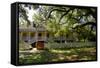 Laura' Historic Antebellum Creole Plantation House, Louisiana, USA-Cindy Miller Hopkins-Framed Stretched Canvas