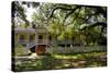 Laura' Historic Antebellum Creole Plantation House, Louisiana, USA-Cindy Miller Hopkins-Stretched Canvas