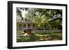 Laura' Historic Antebellum Creole Plantation House, Louisiana, USA-Cindy Miller Hopkins-Framed Photographic Print