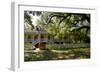 Laura' Historic Antebellum Creole Plantation House, Louisiana, USA-Cindy Miller Hopkins-Framed Photographic Print