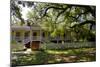 Laura' Historic Antebellum Creole Plantation House, Louisiana, USA-Cindy Miller Hopkins-Mounted Photographic Print