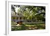 Laura' Historic Antebellum Creole Plantation House, Louisiana, USA-Cindy Miller Hopkins-Framed Photographic Print