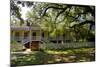 Laura' Historic Antebellum Creole Plantation House, Louisiana, USA-Cindy Miller Hopkins-Mounted Photographic Print