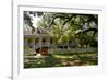 Laura' Historic Antebellum Creole Plantation House, Louisiana, USA-Cindy Miller Hopkins-Framed Photographic Print