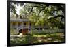 Laura' Historic Antebellum Creole Plantation House, Louisiana, USA-Cindy Miller Hopkins-Framed Photographic Print