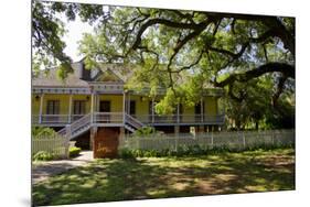 Laura' Historic Antebellum Creole Plantation House, Louisiana, USA-Cindy Miller Hopkins-Mounted Premium Photographic Print