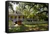 Laura' Historic Antebellum Creole Plantation House, Louisiana, USA-Cindy Miller Hopkins-Framed Stretched Canvas