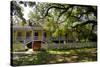 Laura' Historic Antebellum Creole Plantation House, Louisiana, USA-Cindy Miller Hopkins-Stretched Canvas