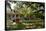 Laura' Historic Antebellum Creole Plantation House, Louisiana, USA-Cindy Miller Hopkins-Framed Stretched Canvas