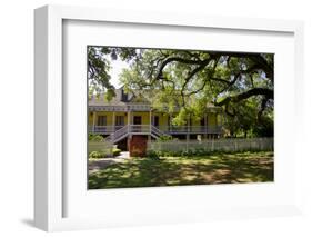 Laura' Historic Antebellum Creole Plantation House, Louisiana, USA-Cindy Miller Hopkins-Framed Photographic Print