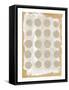 Framed Canvas