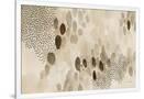 Gramercy White