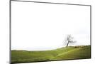 Wood Mount