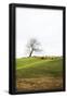 Essential Black