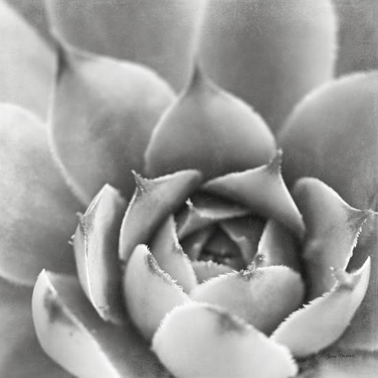 Photo, , large
