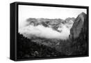 Framed Canvas
