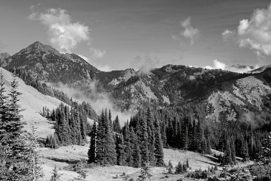 Premium Photographic Print, , large