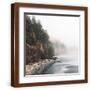 Brown Frame
