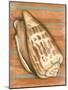 Wood Mount