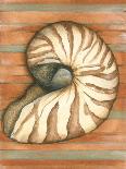 Shell on Stripes IV-Laura Nathan-Art Print