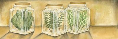 Spice Jars I-Laura Nathan-Stretched Canvas