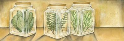 Spice Jars I-Laura Nathan-Stretched Canvas