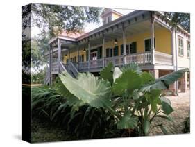 Laura Plantation, on the Edge of the Mississippi, La Vacherie Region, Louisiana, USA-Bruno Barbier-Stretched Canvas