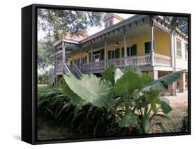 Laura Plantation, on the Edge of the Mississippi, La Vacherie Region, Louisiana, USA-Bruno Barbier-Framed Stretched Canvas