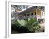 Laura Plantation, on the Edge of the Mississippi, La Vacherie Region, Louisiana, USA-Bruno Barbier-Framed Photographic Print