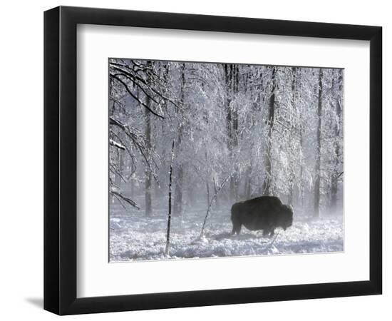 Premium Photographic Print, , large