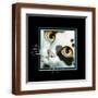 Brown Frame
