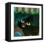 Canvas Black