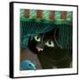 Canvas Black