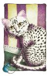 A Cat Never Tells-Trio II-Laura Seeley-Framed Premium Giclee Print